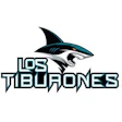 Los Tiburones shark logo with stylized black and teal shark graphic