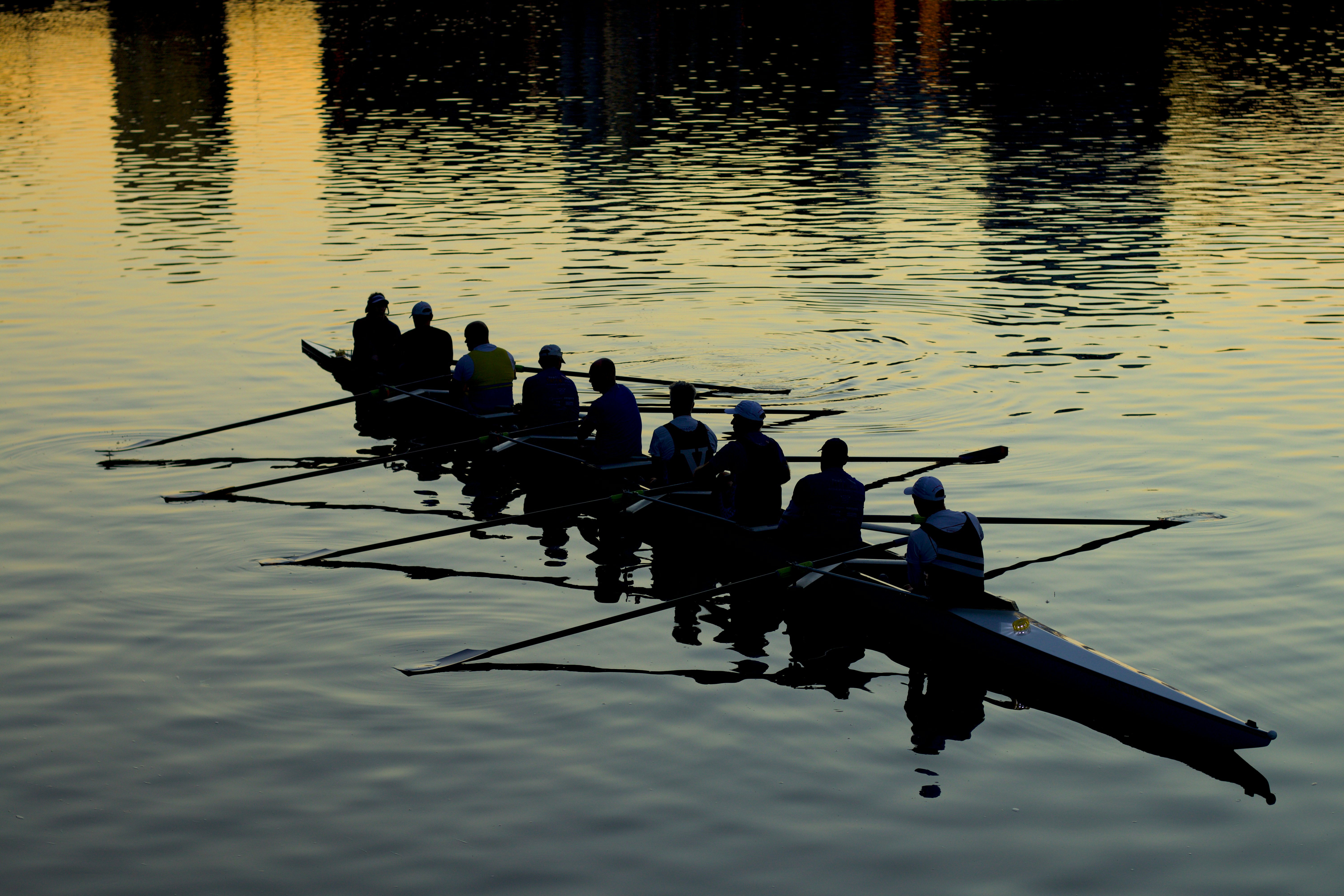 Rowing team silhouetted on calm water at golden hour