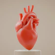 3D anatomical model of a red human heart on a neutral background
