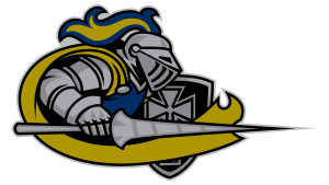 Medieval knight mascot in armor wielding sword