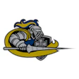 Medieval knight mascot in armor wielding sword