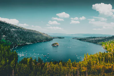 Photo by Fabian Quintero, Unsplash