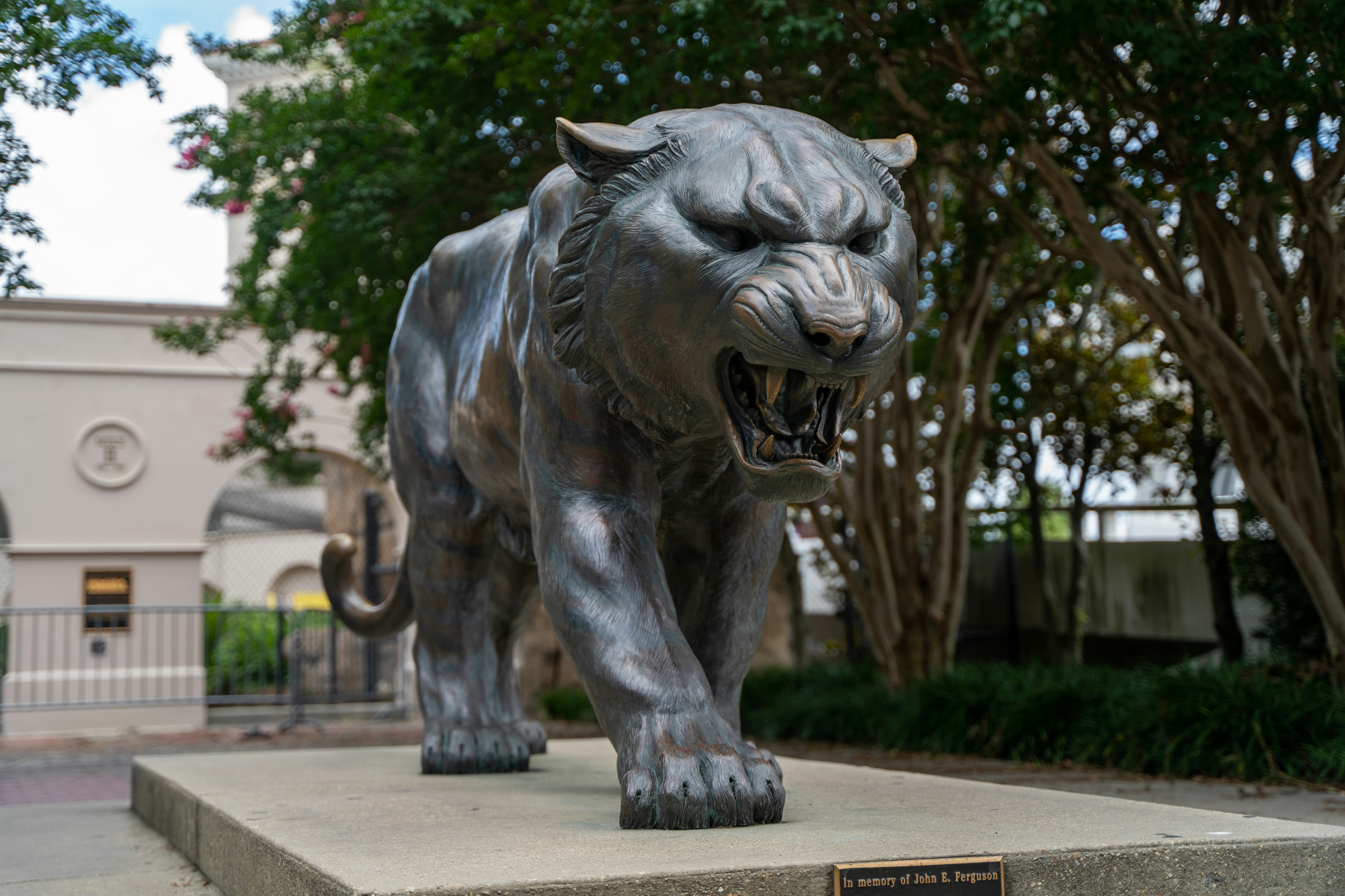 Bronze panther statue snarling, positioned on concrete pedestal with trees in background