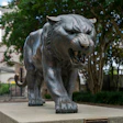 Bronze panther statue snarling, positioned on concrete pedestal with trees in background