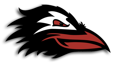 Baltimore Ravens NFL team logo with stylized raven head in black, white, and red