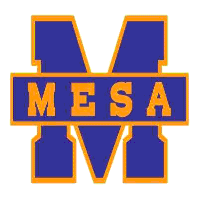 Mesa institutional logo with blue 'M' letterform and orange text