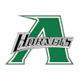 Hornets green and black team logo with stylized A