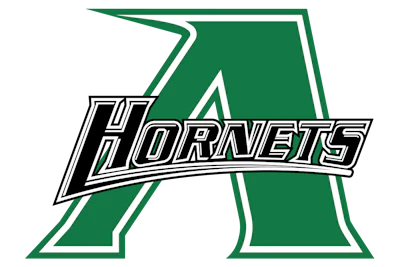 Azle Hornets Large