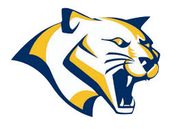Pitt Panthers athletic logo with fierce blue and gold panther head