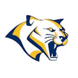 Pitt Panthers athletic logo with fierce blue and gold panther head