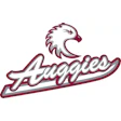 Scripteagleauggie1