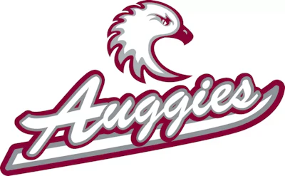 Scripteagleauggie1