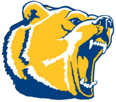 Roaring golden bear head in blue and yellow athletic logo