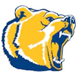 Roaring golden bear head in blue and yellow athletic logo