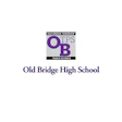 Old Bridge High School official logo with purple OB initials
