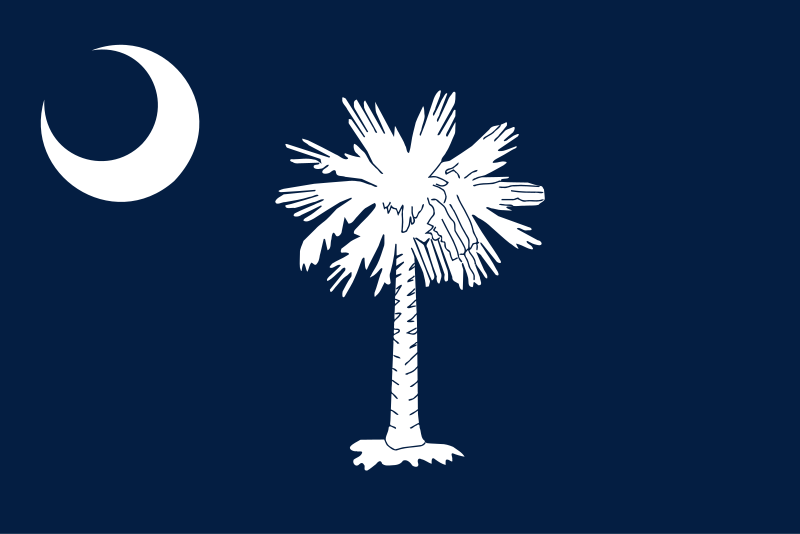 South Carolina state flag with white palmetto tree and crescent moon on navy background