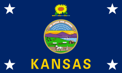 Kansas state flag featuring a navy blue background with white stars and a central seal displaying a sunflower, landscape, and the word KANSAS in gold