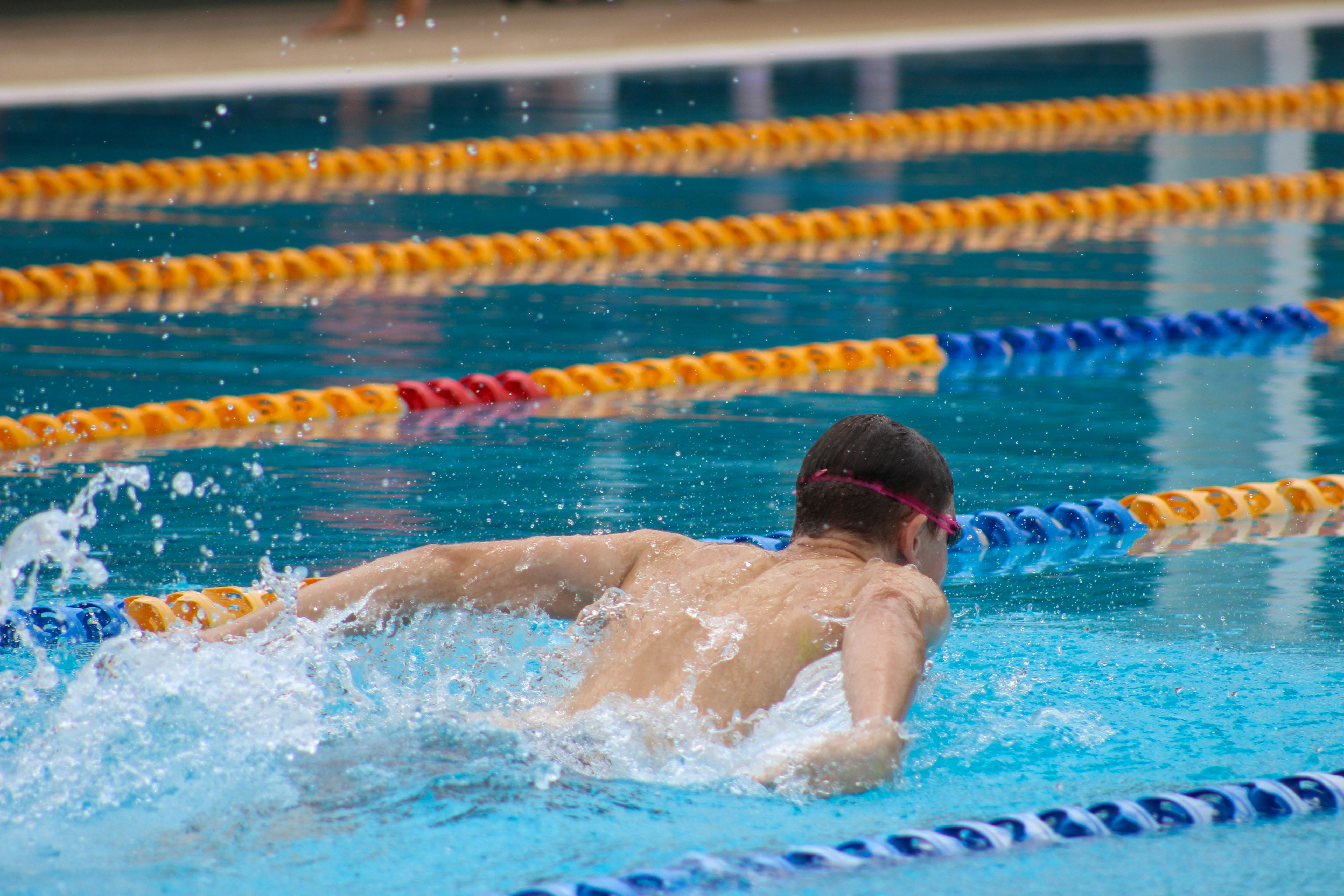 Competitive swimmer performing butterfly stroke in Olympic-style lap pool with colored lane dividers