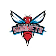 Dsu Hornet Rebrand Logo Final1 01 Scaled 1