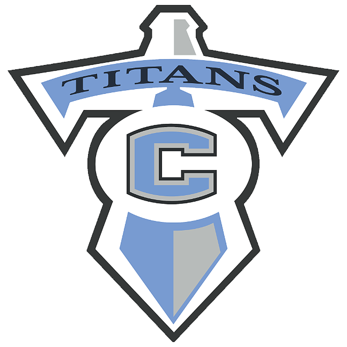 Logo Collins Footer