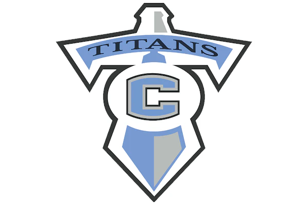 Logo Collins Footer