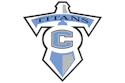 Logo Collins Footer
