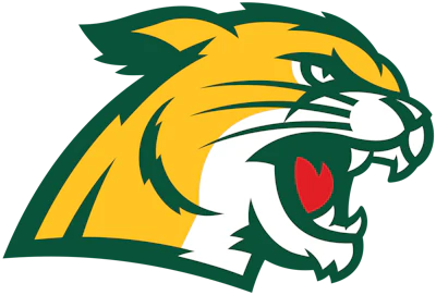 Northern Michigan Wildcats Logo svg