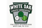 Woaa Logo 1757349363