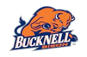 Bucknell Bison Logo