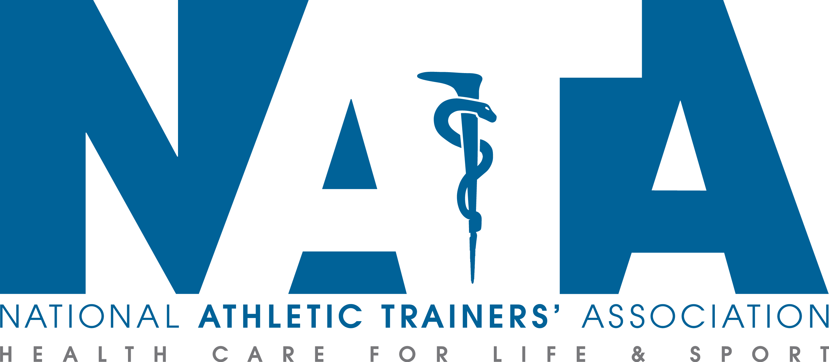 Nata Logo Final Blue 0