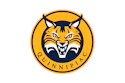 Quinnipiac Bobcats Logo