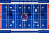 Boise Turf