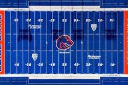 Boise Turf