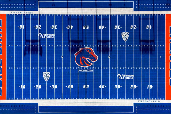 Boise Turf