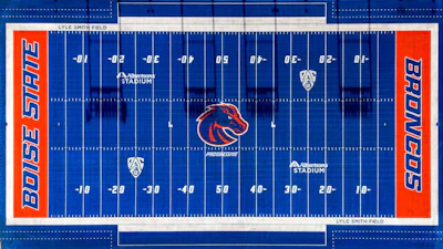 Boise Turf