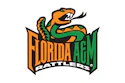 Florida A M Rattlers Logo Png Seeklogo 55912