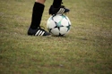 Hal Gatewood Az D Ha9 F9u By Unsplash