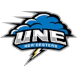 Noreaster Logo