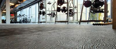 Modern gym interior with patterned flooring, hanging exercise equipment, and floor-to-ceiling windows overlooking outdoor scenery