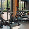 Modern gym interior with stationary bikes and treadmills near large windows overlooking green outdoor space