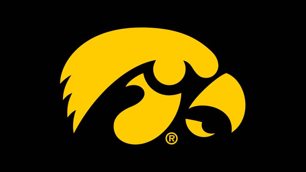 Tigerhawk Gold On Black@2x