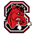 Cornell Big Red bull mascot logo with red head and white horns in octagonal frame