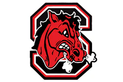 Cornell Big Red bull mascot logo with red head and white horns in octagonal frame