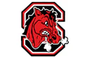 Cornell Big Red bull mascot logo with red head and white horns in octagonal frame