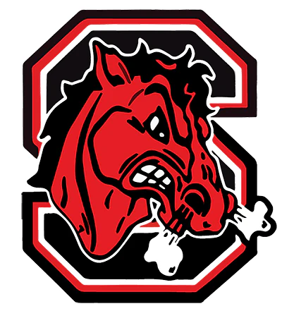 Cornell Big Red bull mascot logo with red head and white horns in octagonal frame