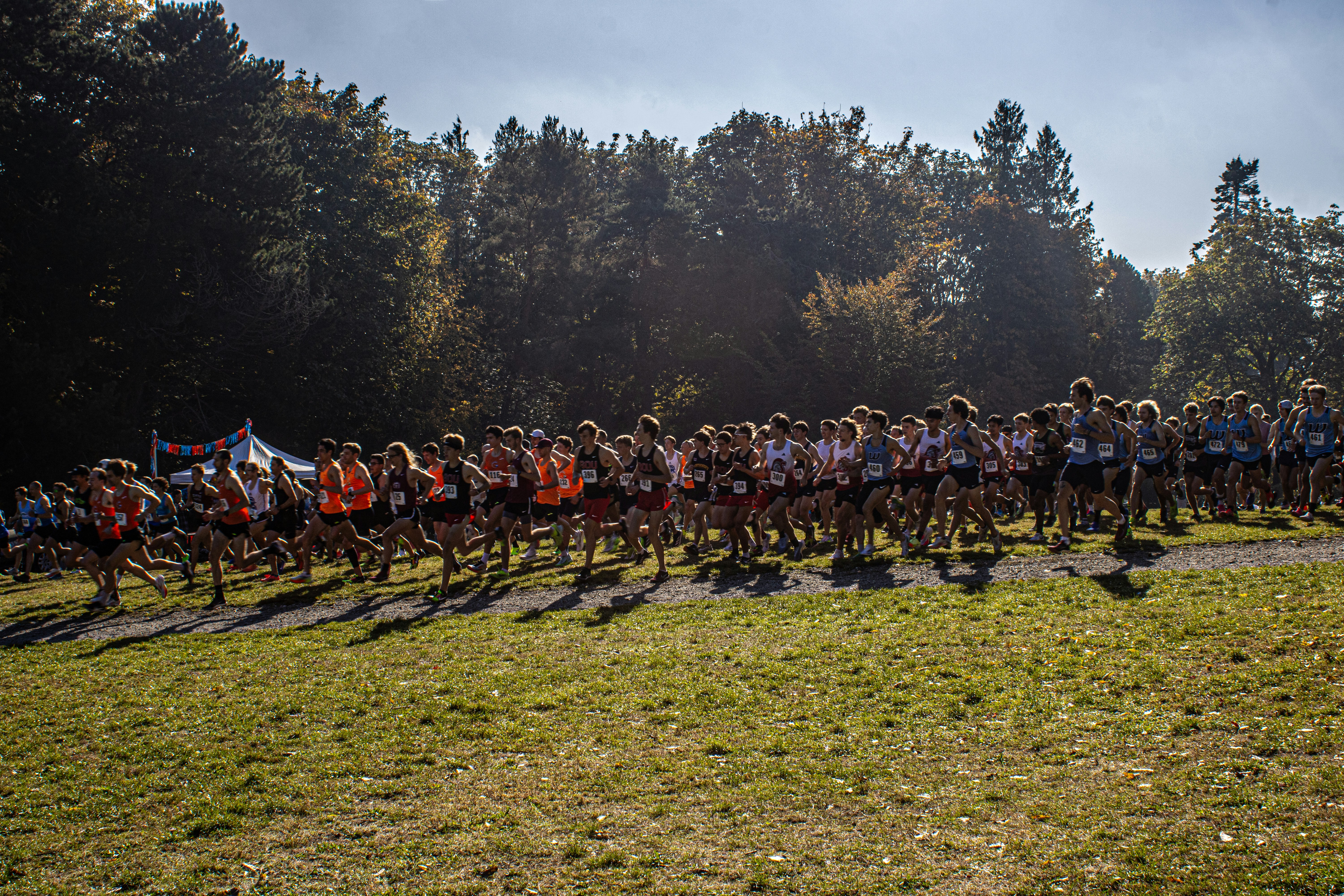 Large group of runners gathered on a grassy field during an outdoor race event with forest trees in background