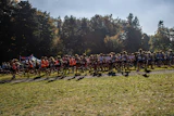 Large group of runners gathered on a grassy field during an outdoor race event with forest trees in background