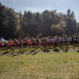 Large group of runners gathered on a grassy field during an outdoor race event with forest trees in background