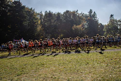 Large group of runners gathered on a grassy field during an outdoor race event with forest trees in background